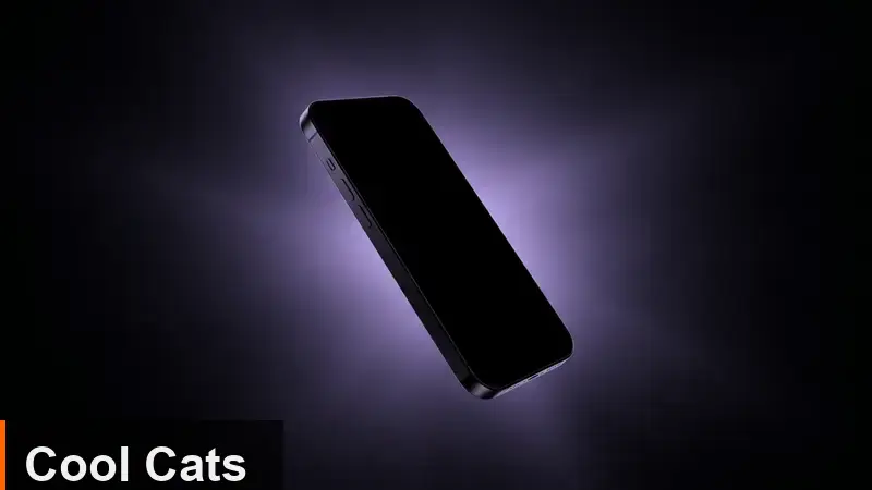 Cool Cats Mobile Experience